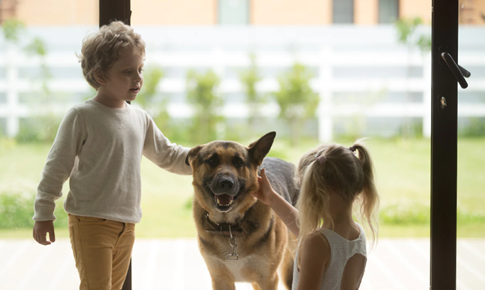 What Should Children Be Taught About Home Safety?